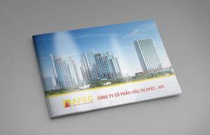 Thiết kế profile | HSNL CTCP Đầu tư Châu Á Thái Bình Dương APEC - API