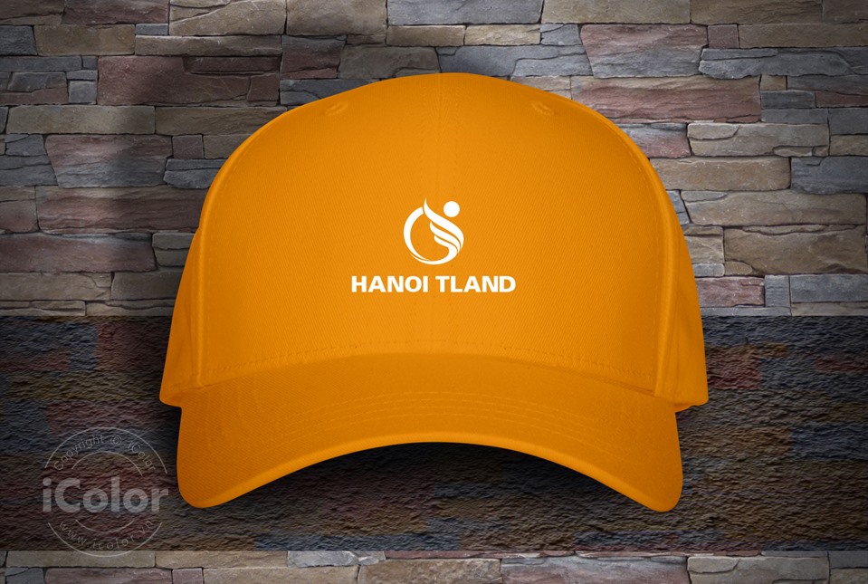 Thiết kế bộ nhận diện thương hiệu dự án Hanoi Tland