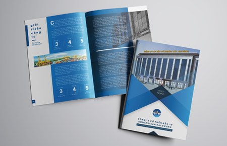 Thiết kế profile | hồ sơ năng lực CTCP Đầu tư Khoáng sản Đại Dương