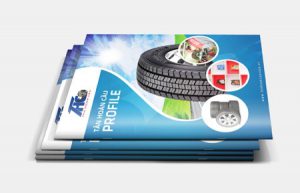 Thiết kế Profile | hồ sơ năng lực CT TMDV Oto Tân Hoàn Cầu