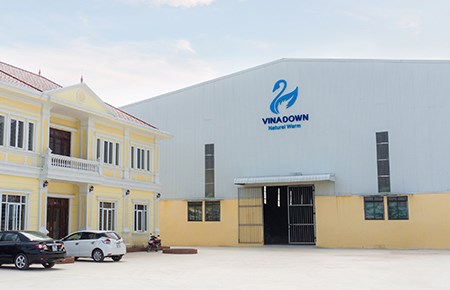 Thiết kế logo Công ty TNHH Lông Vũ Phương Nam