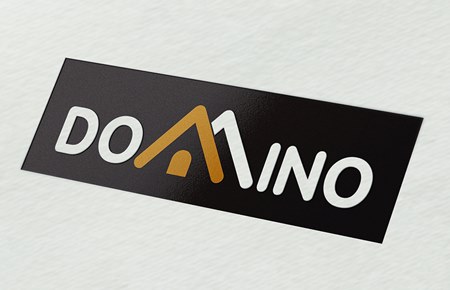 Thiết kế logo Công ty Domino