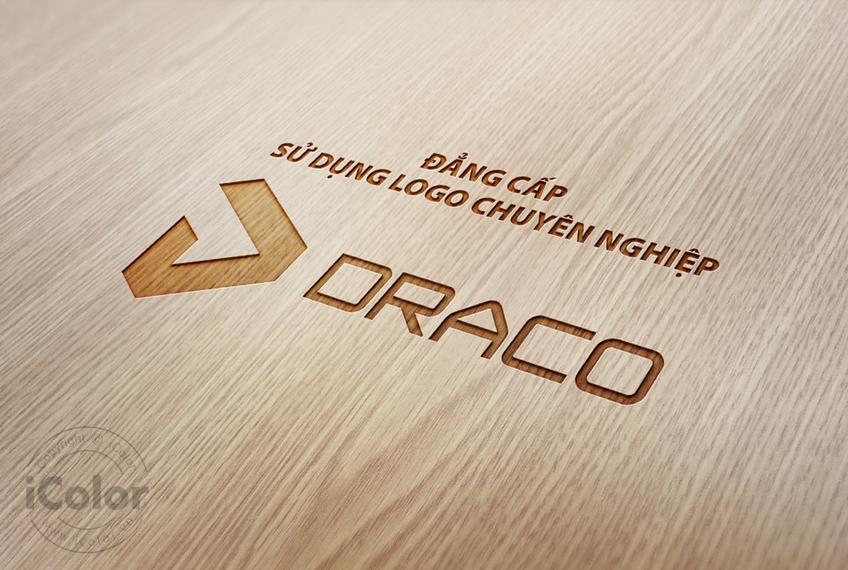 Thiết kế logo Công ty Draco