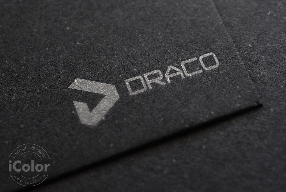 Thiết kế logo Công ty Draco