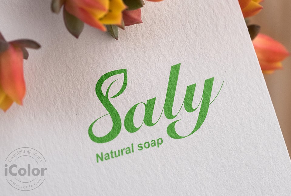 Logo Saly