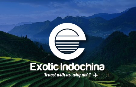 Thiết kế logo Exotic indochina