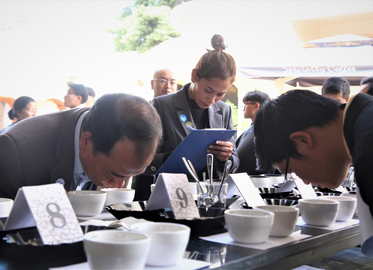 Hành trình xây dựng thương hiệu cà phê chất lượng cao Arabica Lạc Dương