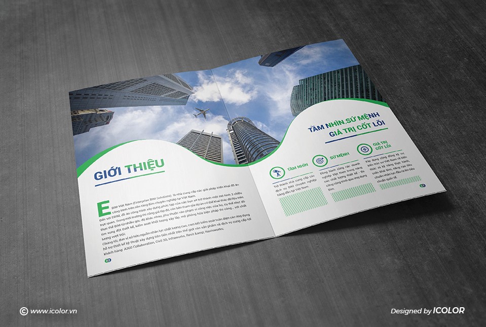 Thiết kế profile Công ty Cổ phần Ebim Việt Nam