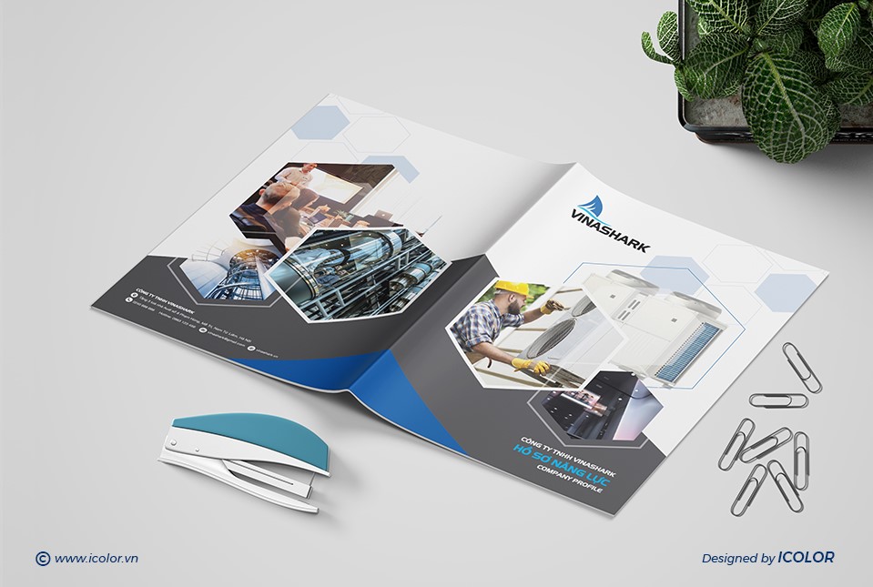 Thiết kế HSNL Công ty TNHH Vinashark