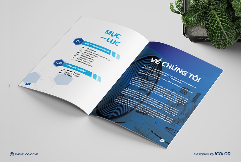 Thiết kế HSNL Công ty TNHH Vinashark