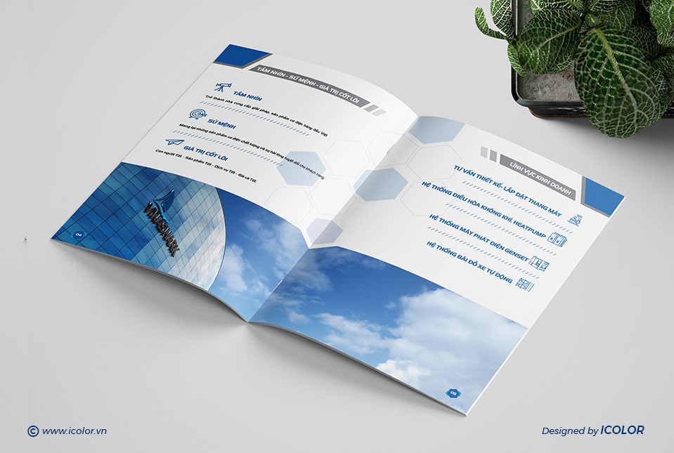 Thiết kế HSNL Công ty TNHH Vinashark