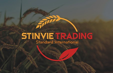 Thiết kế logo Công ty Thương mại STINVIE