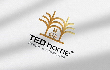 Thiết kế logo CTCP DVTM và Thông tin Kỹ thuật TED HOME
