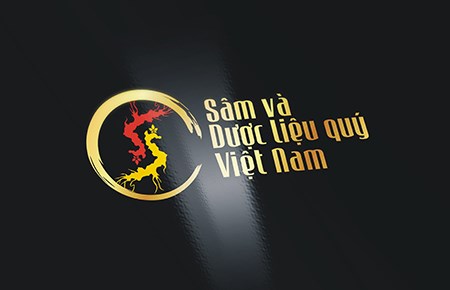 Thiết kế logo Sâm và Dược liệu quý Việt Nam