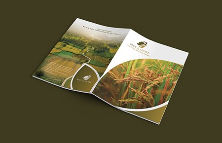 Thiết kế Catalogue Công ty RICE & MORE Thiết kế Catalogue Công ty RICE & MORE