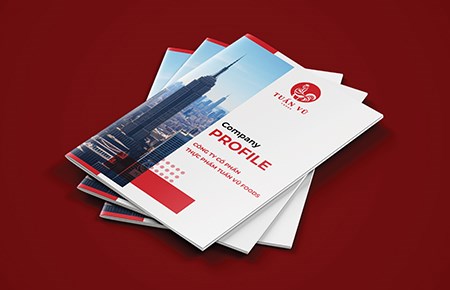 TK Profile CT CP Thực phẩm Tuấn Vũ Foods TK Profile CT CP Thực phẩm Tuấn Vũ Foods