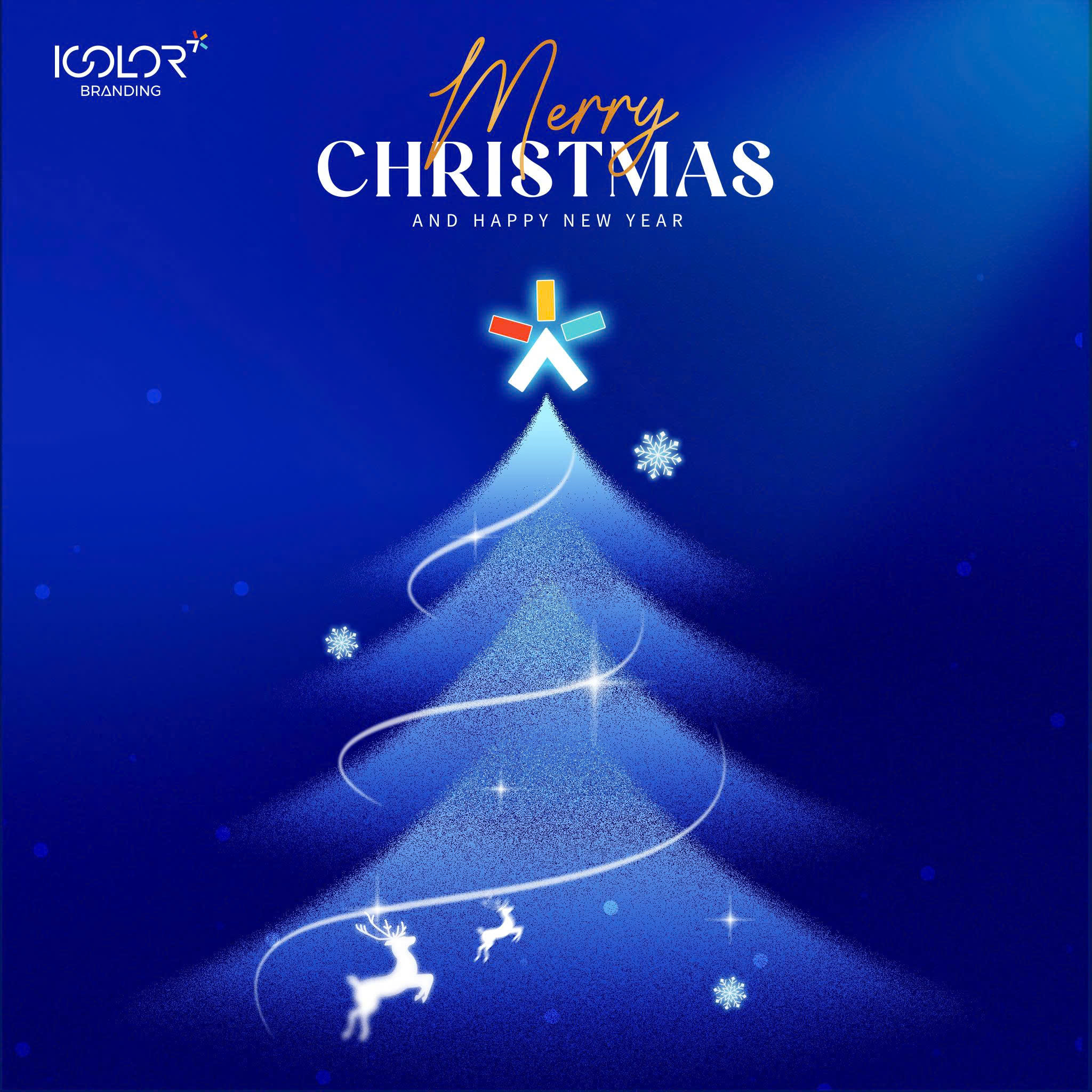 MERRY CHRISTMAS & HAPPY NEW YEAR 2026