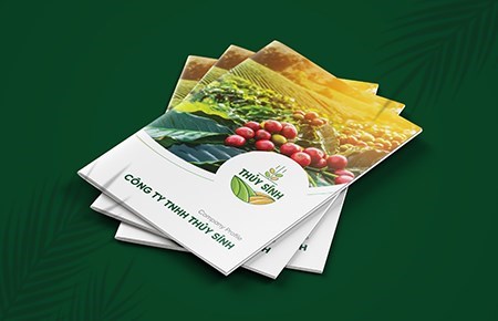 Thiết kế profile Công ty Thuỷ Sính