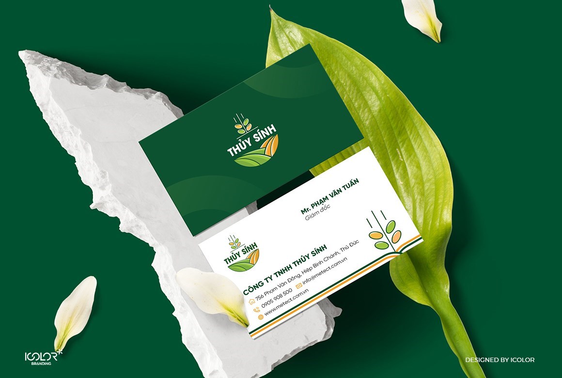 TK nhận diện thương hiệu Công ty Thuỷ Sính