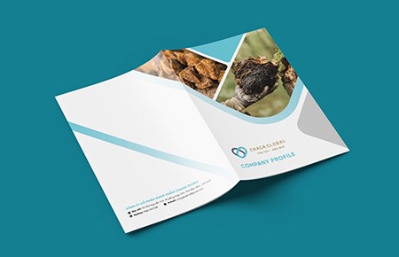 Thiết kế profile CHAGA
