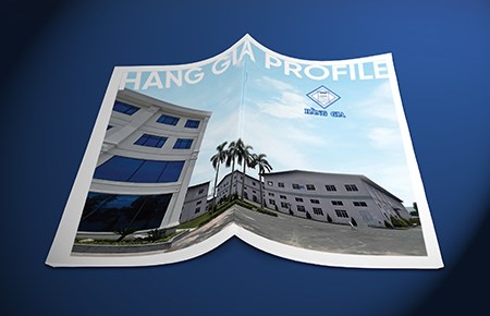 THIẾT KẾ PROFILE HẰNG GIA