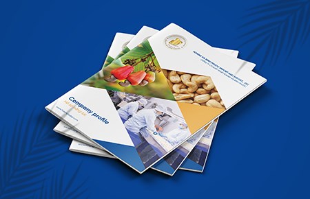 THIẾT KẾ HỒ SƠ NĂNG LỰC HOÀNG HÀ BÌNH PHƯỚC